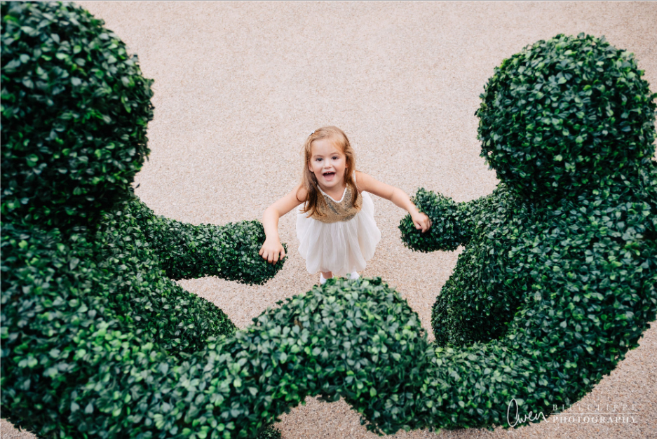 The Human Hedges entertaining at a wedding in London